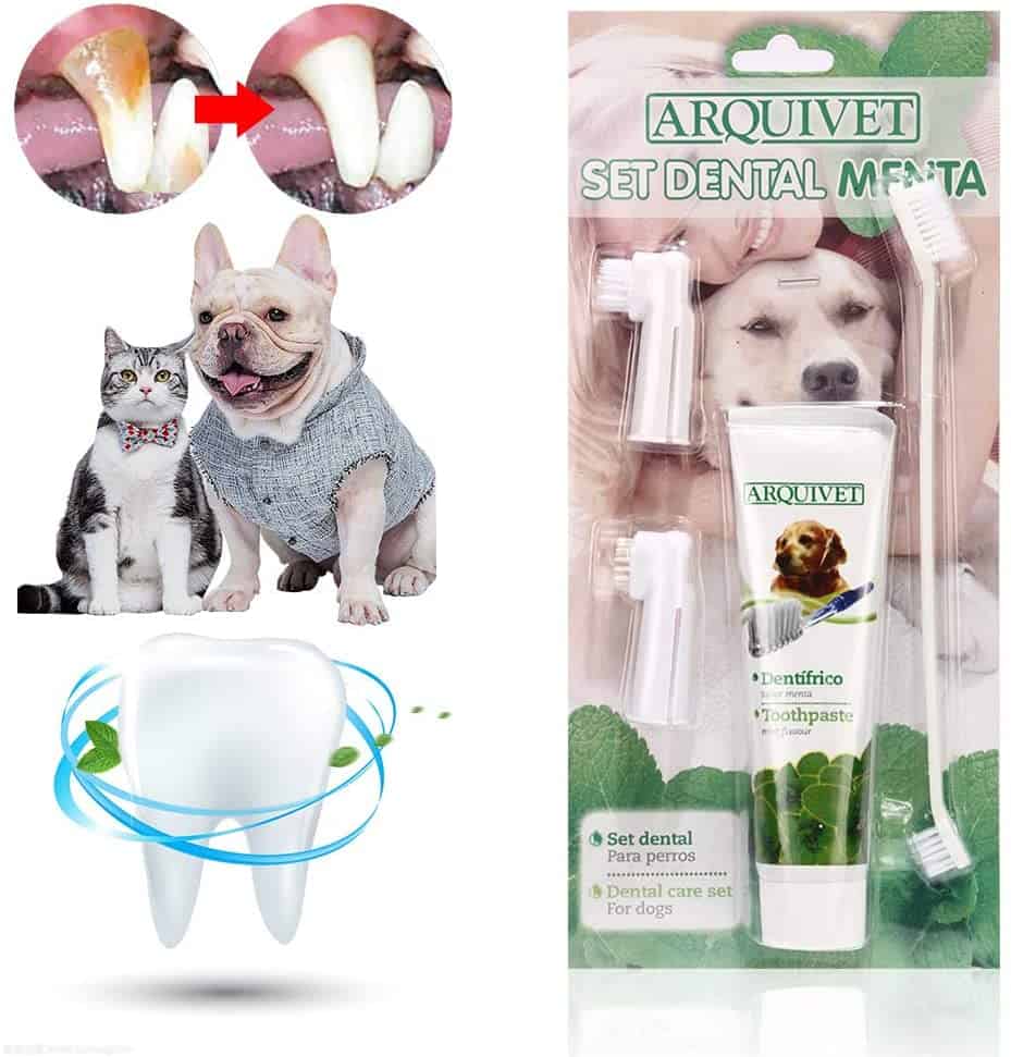 smart brush dog toothbrush