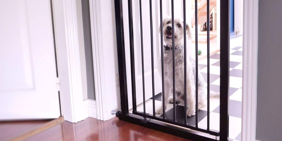 5 Best Indoor Dog Gates for 2022 UK Dog Desires