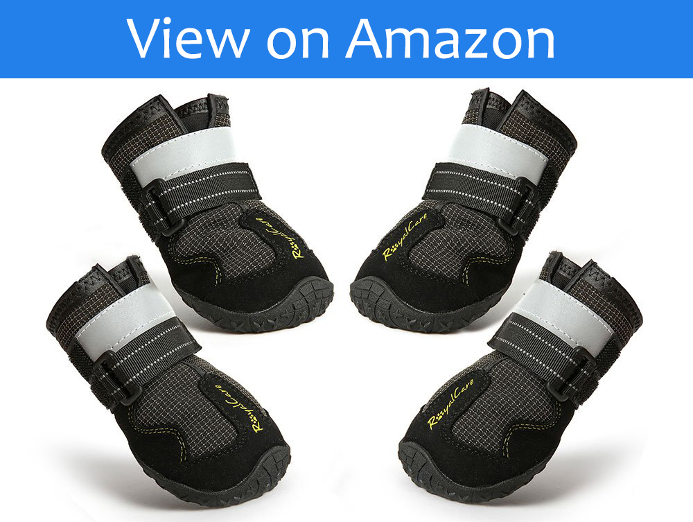 Dog Boots for Injured Paws Our Best Choices Dog Desires