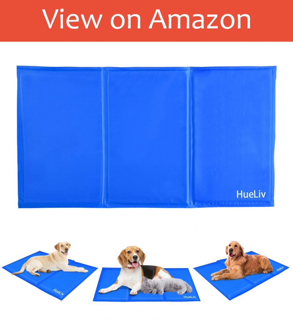 5 Best Dog Cooling Mats UK 2020 Dog Desires
