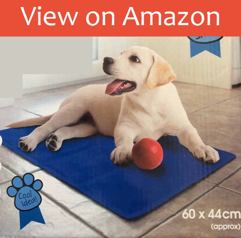 5 Best Dog Cooling Mats UK 2020 Dog Desires