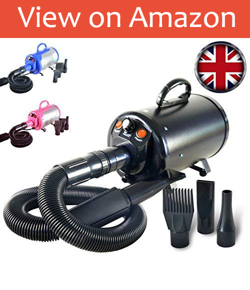 Dog Hair Dryers Our Best Dog Desires