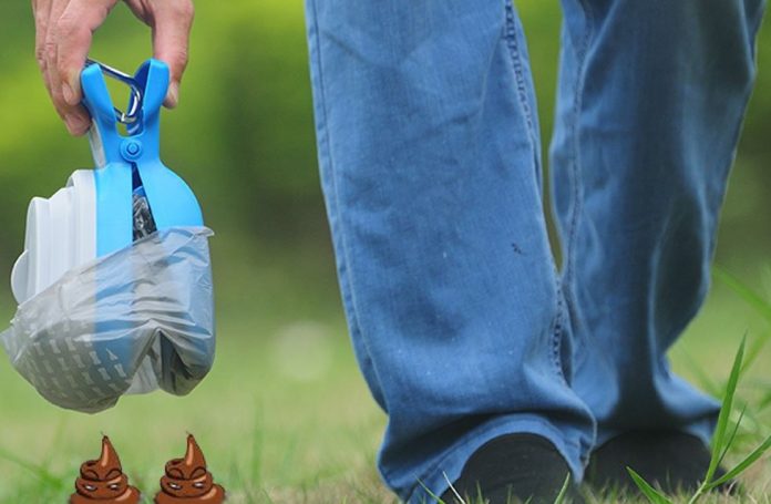 large dog pooper scooper