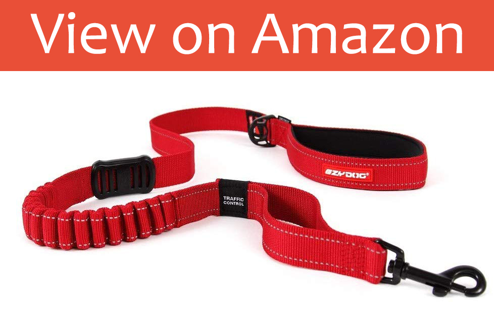 5 Best Dog Leads in 2020 Dog Desires