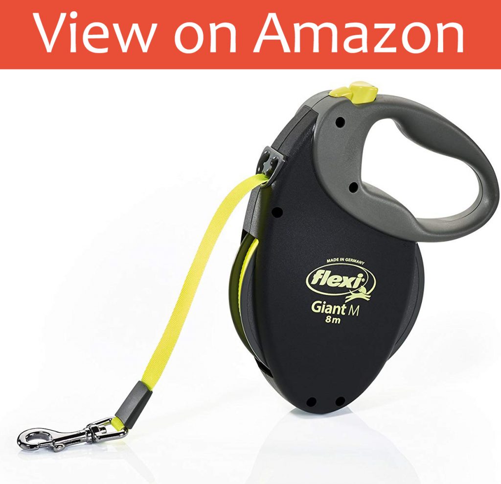 5 Best Dog Leads in 2020 Dog Desires