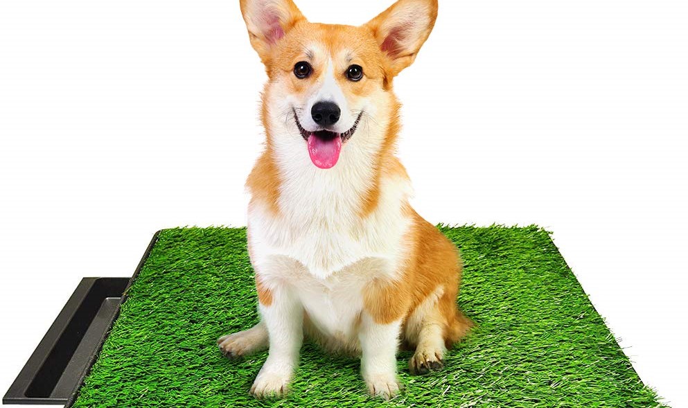 best artificial grass for dog potty