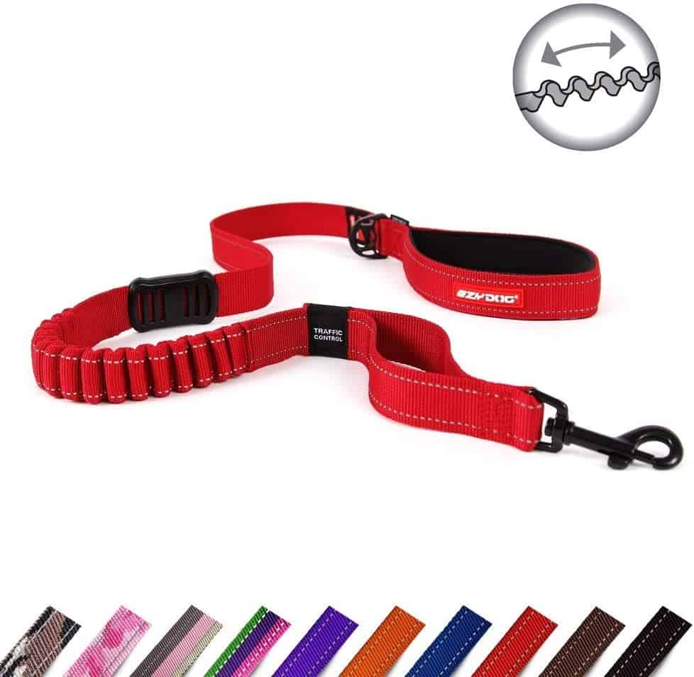 EzyDog Dog Lead