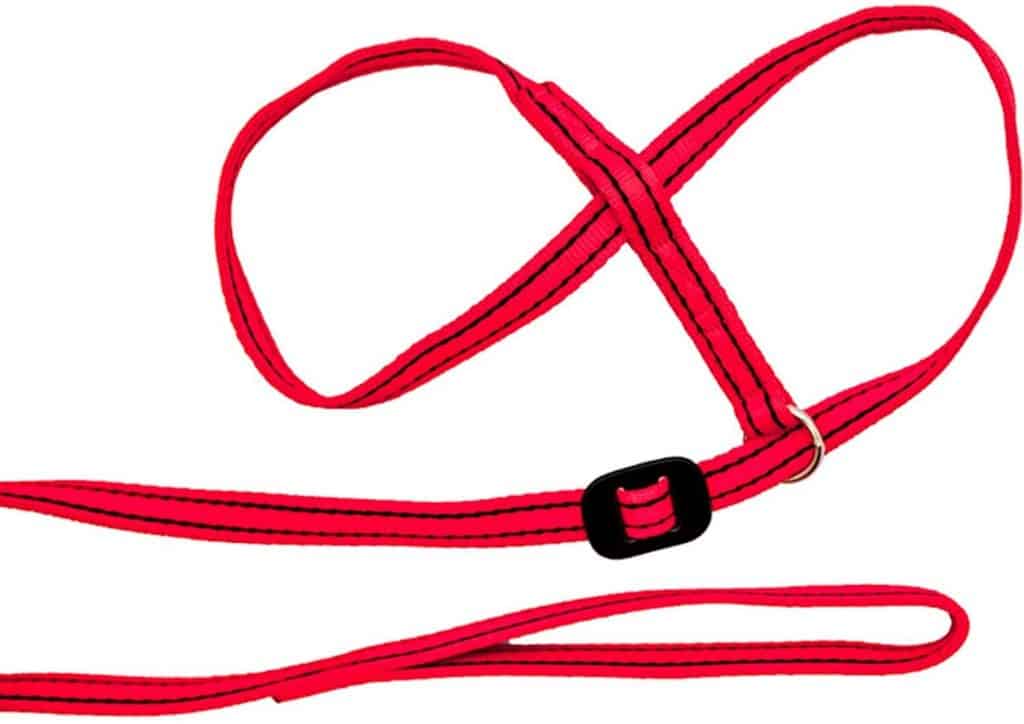 Gencon Head Collar & Leash