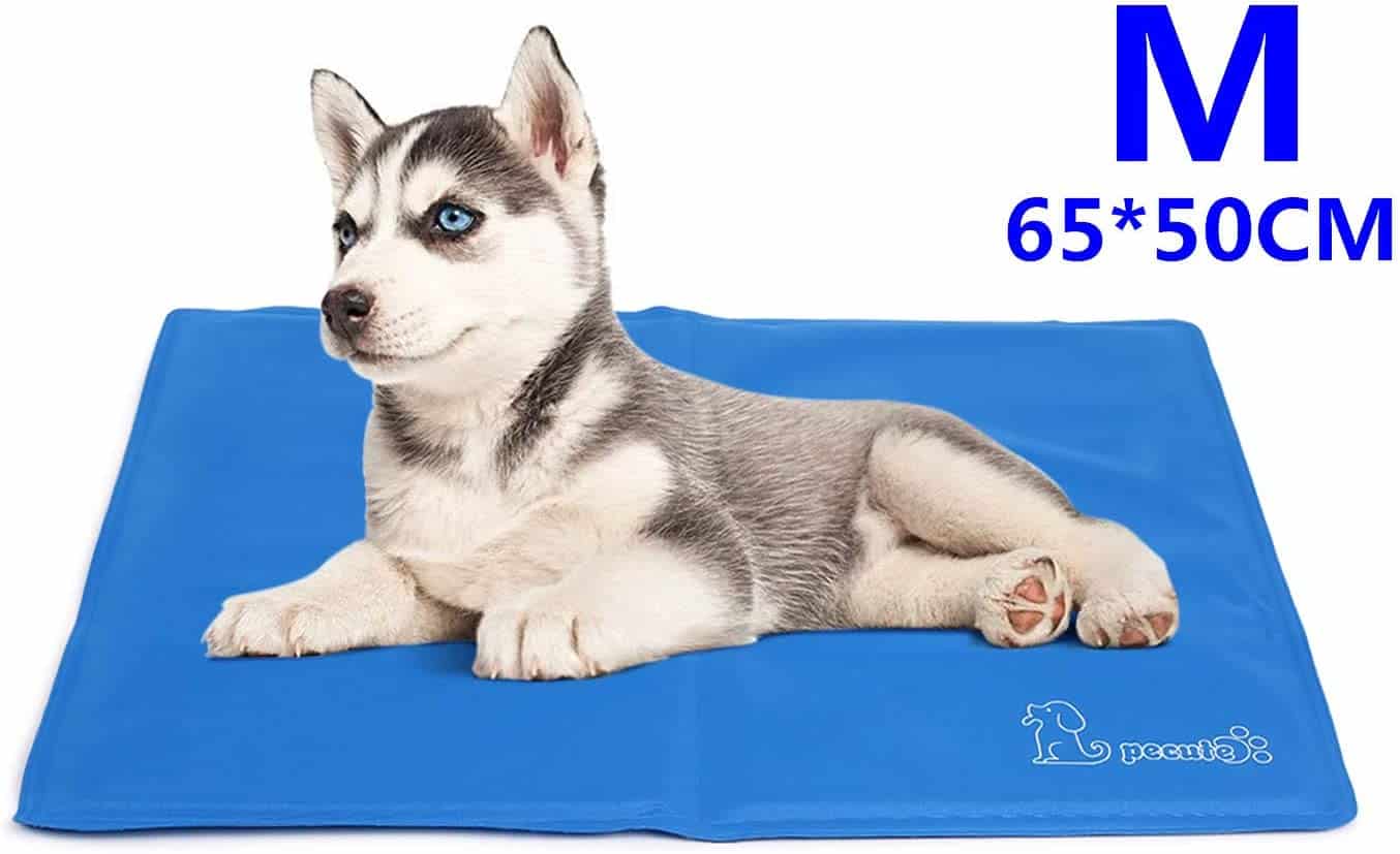 5 Best Dog Cooling Mats UK 2022 Dog Desires