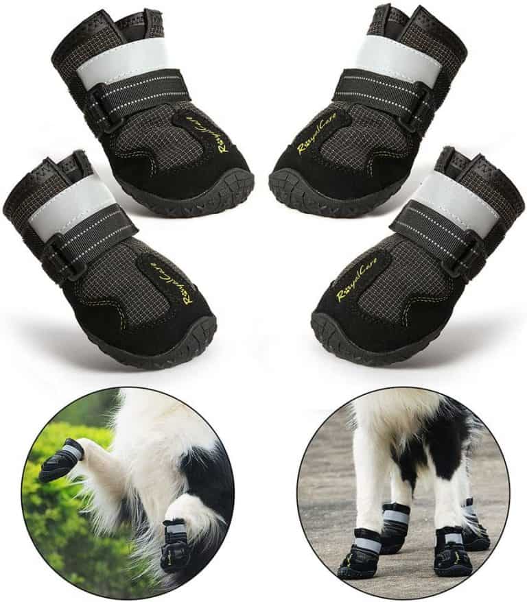 Dog Boots for Injured Paws Our Best Choices Dog Desires