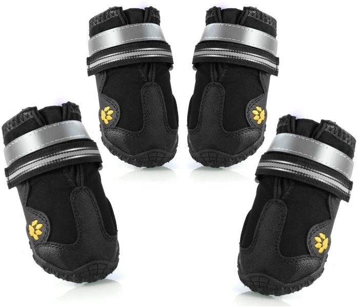Dog Boots for Injured Paws Our Best Choices Dog Desires