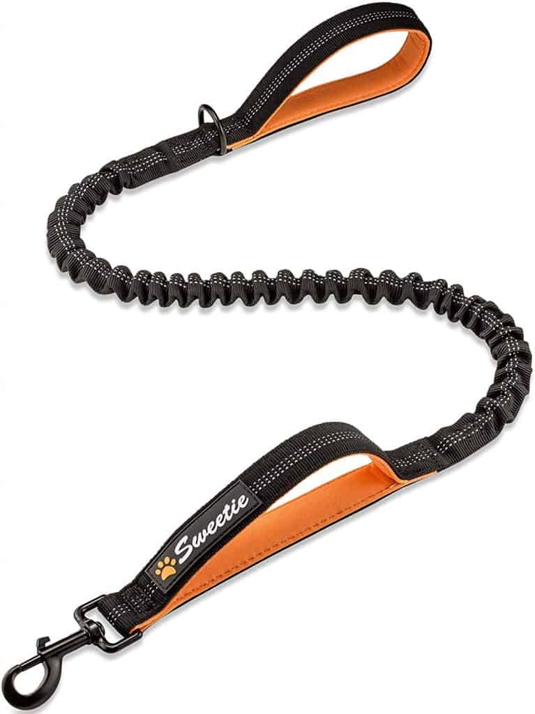 Sweetie Bungee Dog Lead