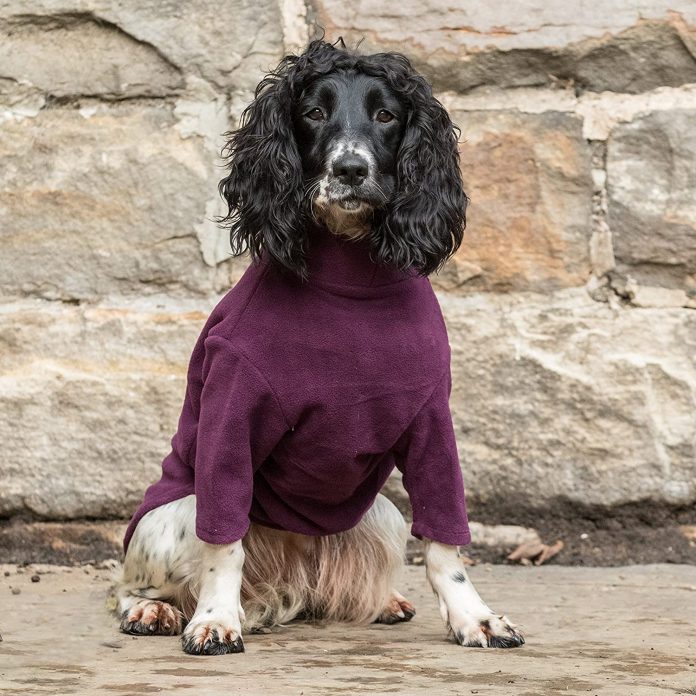 Equafleece Dog Suit Review Dog Desires