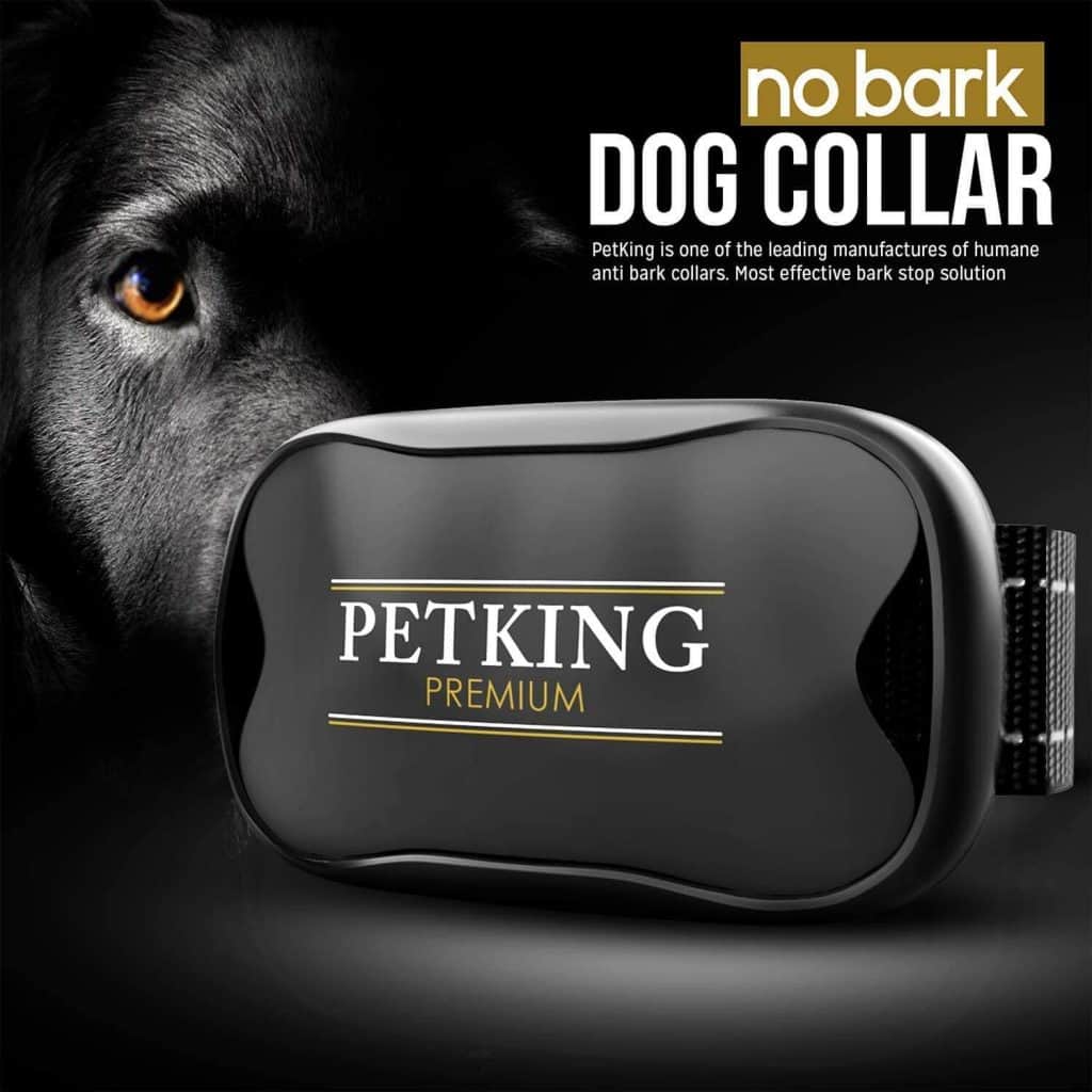 5 Best Dog Training Collars for 2021 Dog Desires