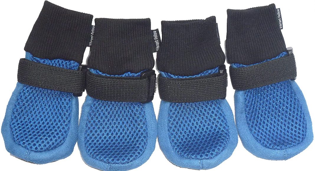 Dog Boots for Injured Paws Our Best Choices Dog Desires