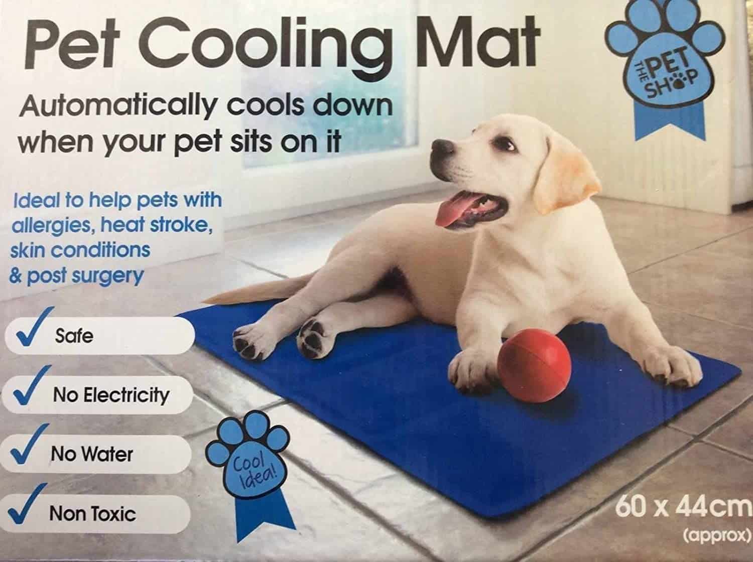 5 Best Dog Cooling Mats UK 2022 Dog Desires