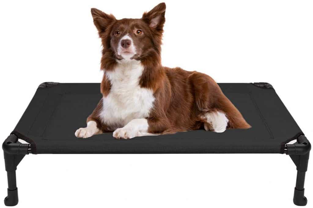 indestructible dog bed