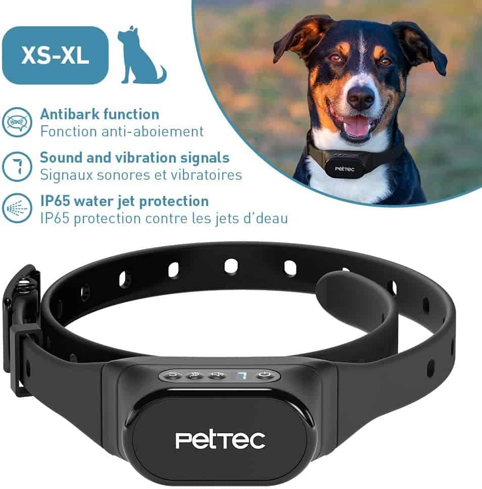 PetTec Anti-Bark Training Collar