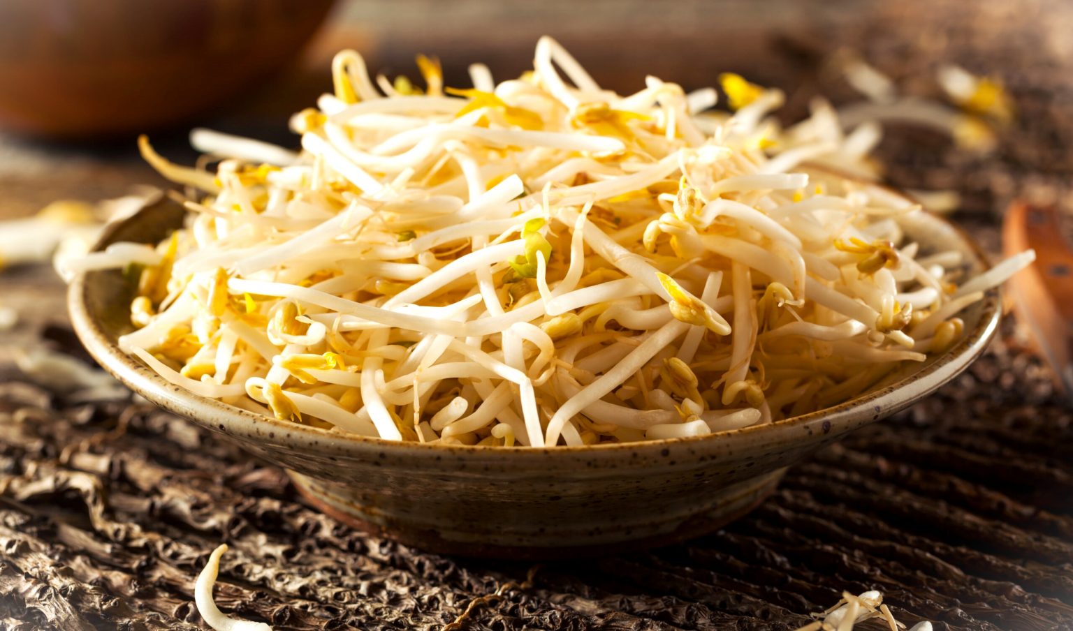Can Dogs Eat Bean Sprouts not What You Might Expect Dog Desires Can Dogs Eat Bean Sprouts not What You Might Expect Dog Desires