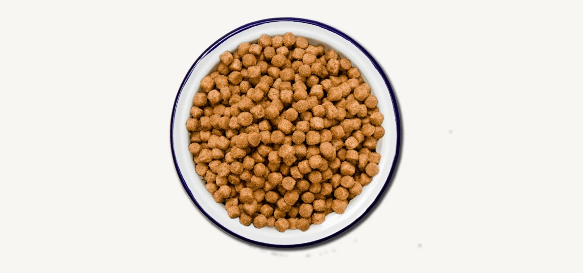 What Dog Food Not To Buy? Dog Desires