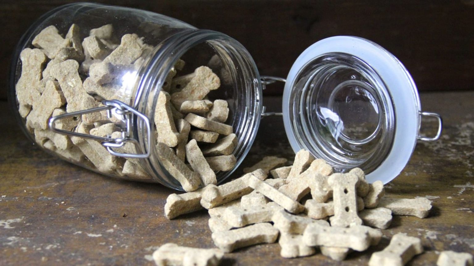 How Long Does Dog Food Last In Airtight Container? Dog Desires