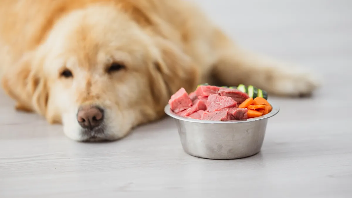 Why Raw Dog Food Is Best? Dog Desires