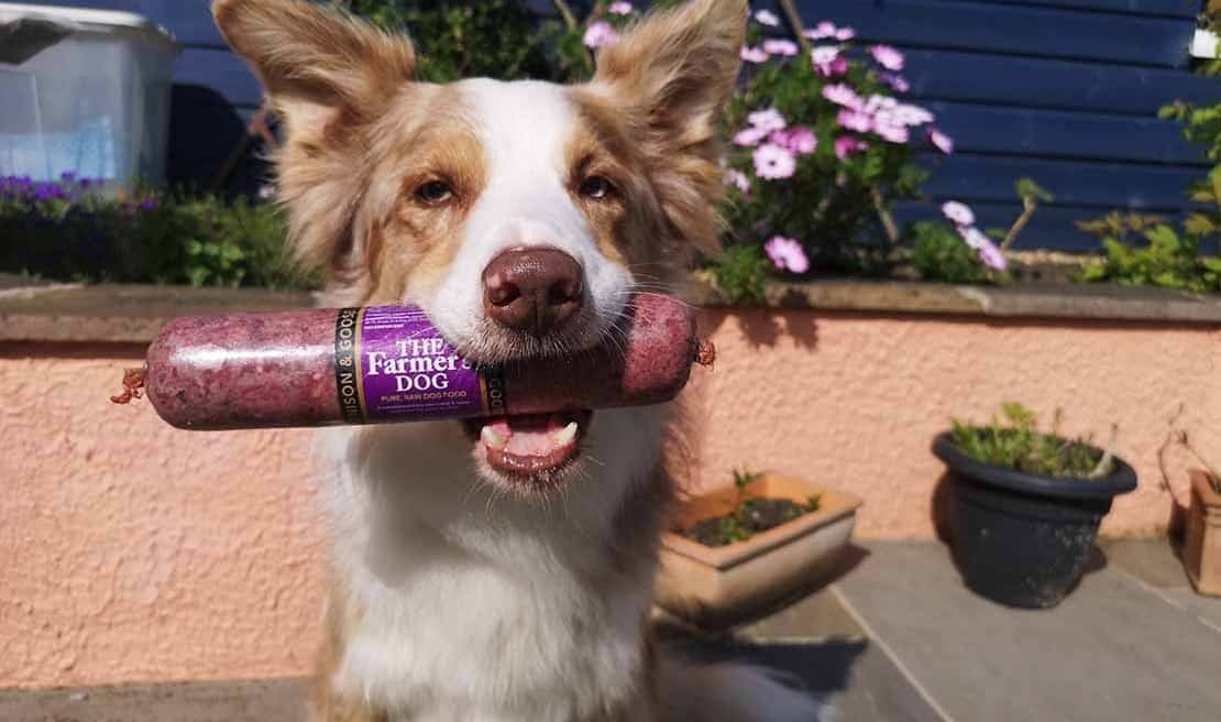 What Is In Farmer's Dog Food? Dog Desires
